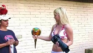 Zestful Blonde In Sexy  Bra Shows Off Big Tits Outdoors